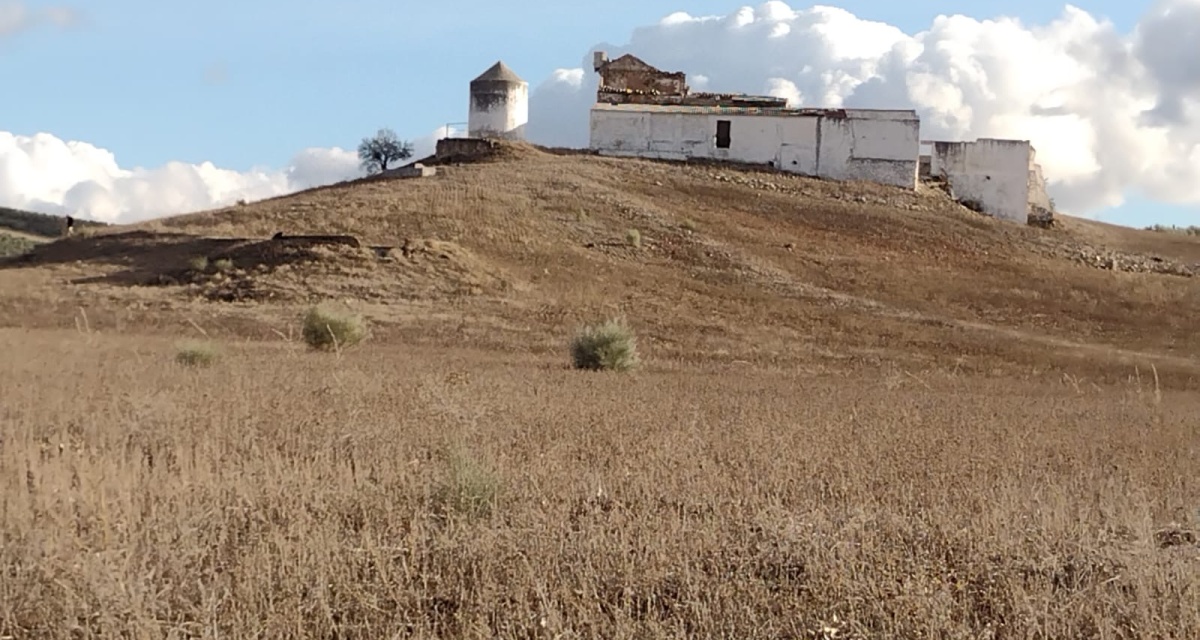 0 , 0 ,0,Land,For Sale,0,1119