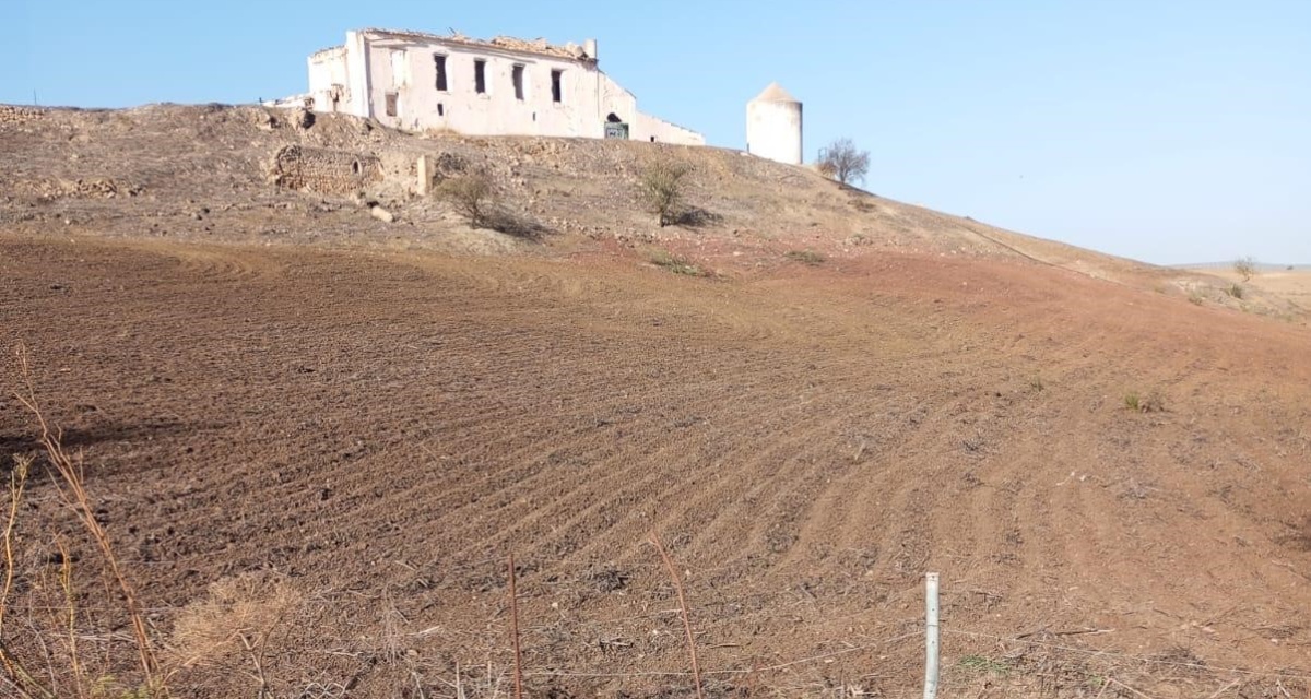 0 , 0 ,0,Land,For Sale,0,1119