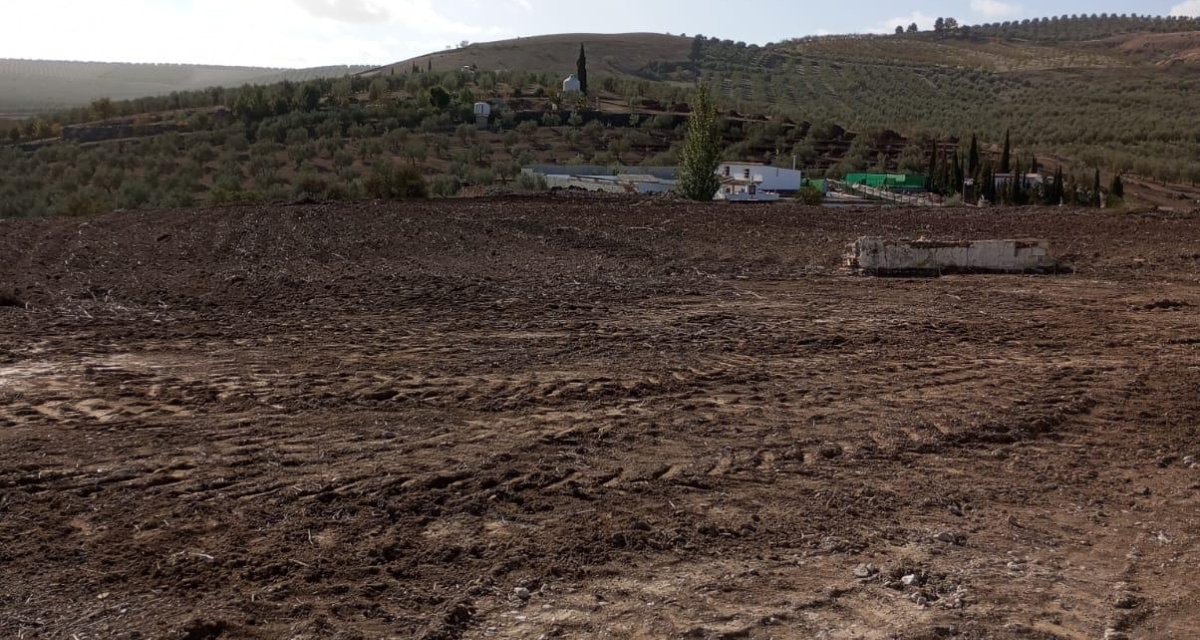 0 , 0 ,0,Land,For Sale,0,1119