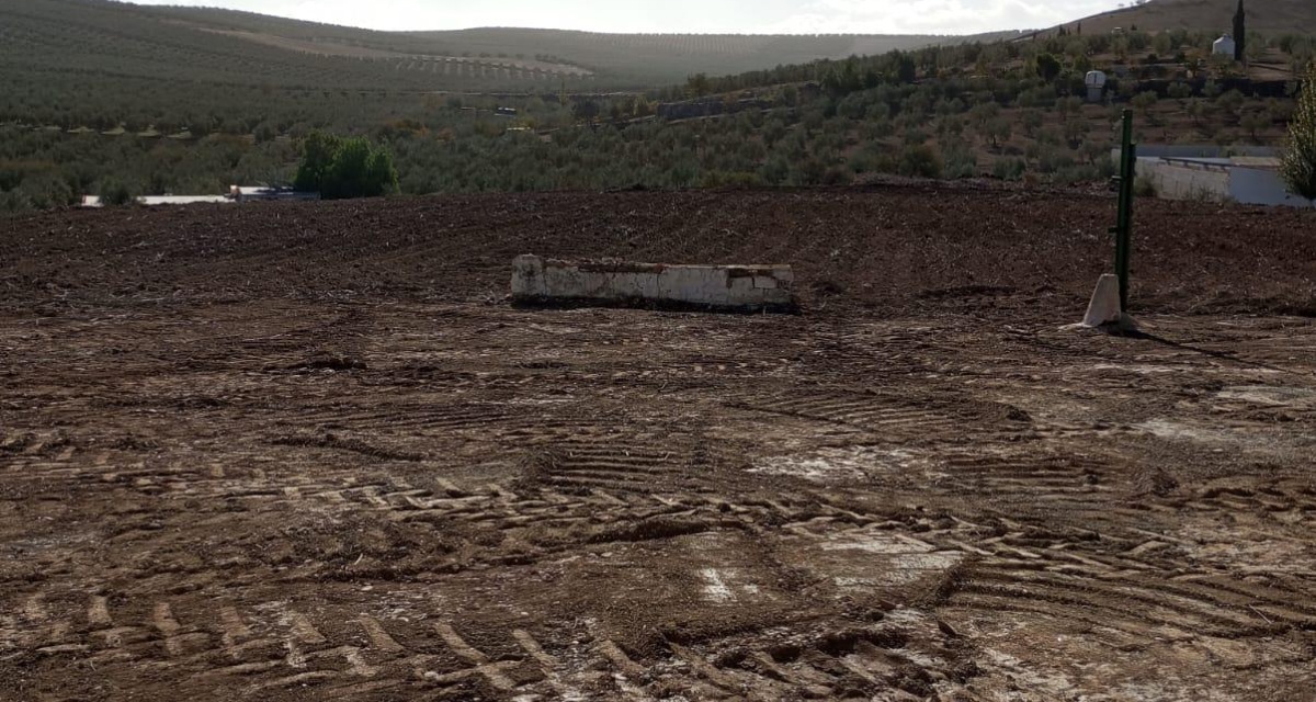 0 , 0 ,0,Land,For Sale,0,1119