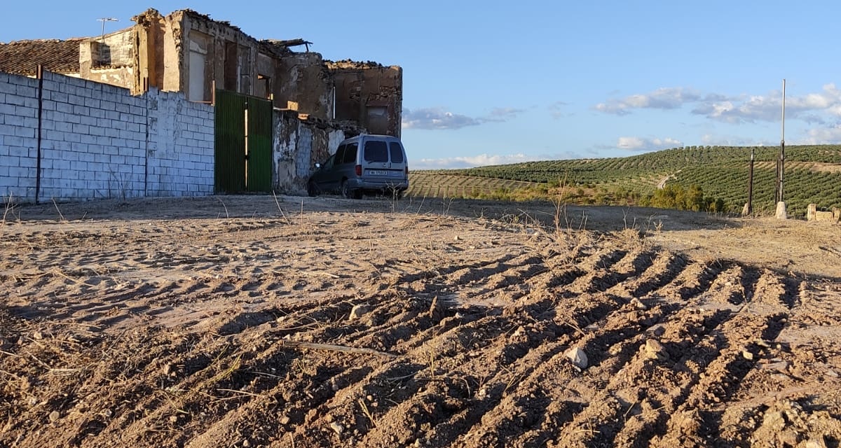 0 , 0 ,0,Land,For Sale,0,1119