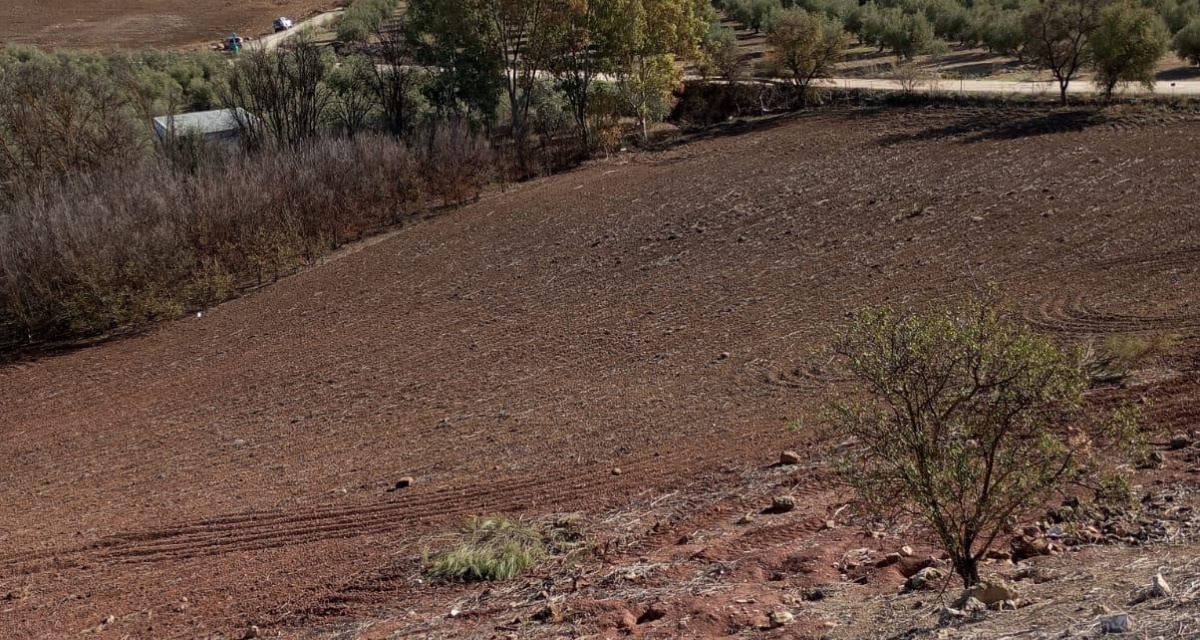 0 , 0 ,0,Land,For Sale,0,1119