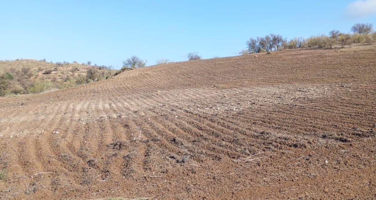 0 , 0 ,0,Land,For Sale,0,1119