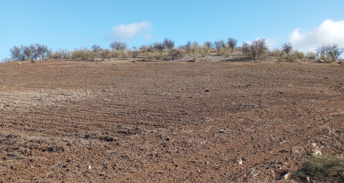 0 , 0 ,0,Land,For Sale,0,1119