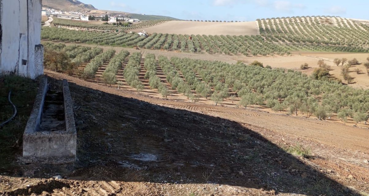 0 , 0 ,0,Land,For Sale,0,1119