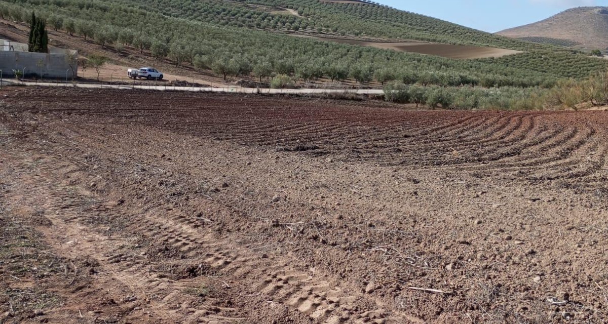 0 , 0 ,0,Land,For Sale,0,1119