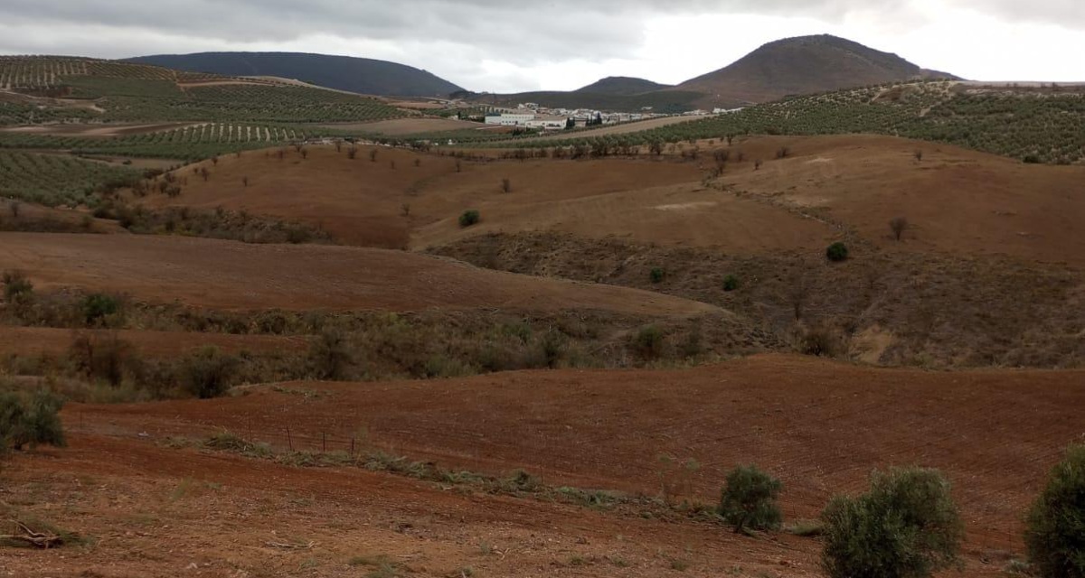 0 , 0 ,0,Land,For Sale,0,1119