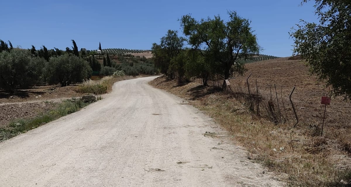 0 , 0 ,0,Land,For Sale,0,1119