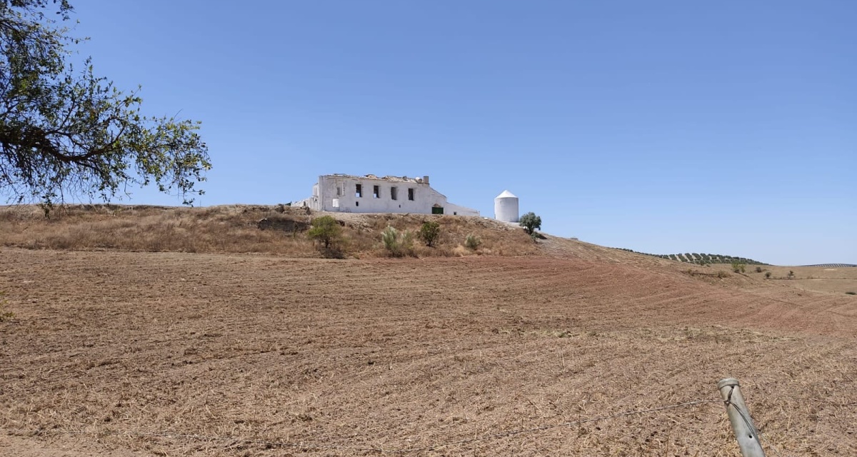 0 , 0 ,0,Land,For Sale,0,1119