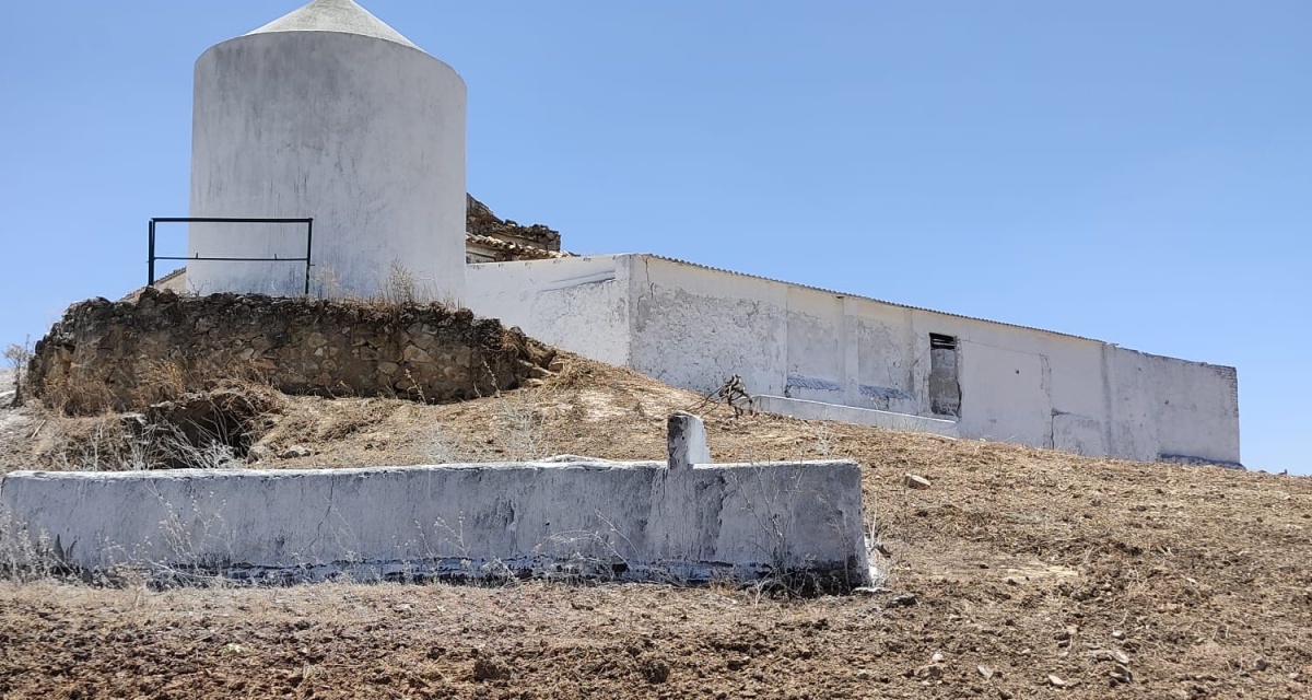 0 , 0 ,0,Land,For Sale,0,1119