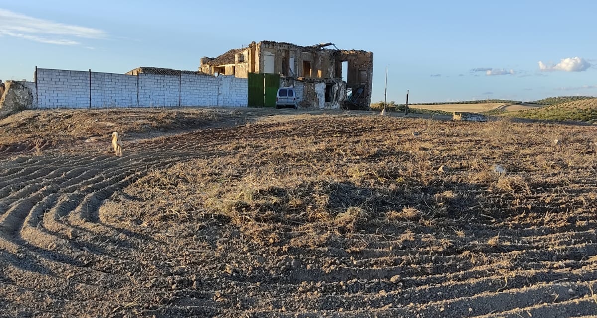 0 , 0 ,0,Land,For Sale,0,1119