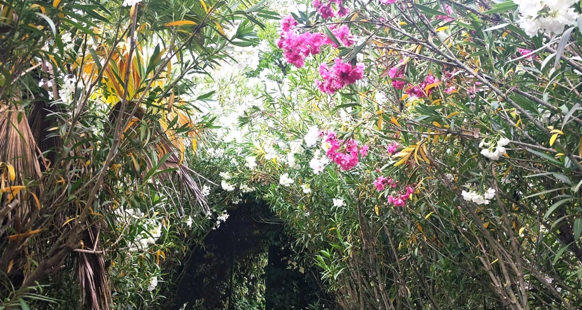 6 Bedrooms Bedrooms, 0 ,3 BathroomsBathrooms,Villa,For Sale,0,1120 6 Bedrooms Bedrooms, 0 ,3 BathroomsBathrooms,Villa,For Sale,0,1120