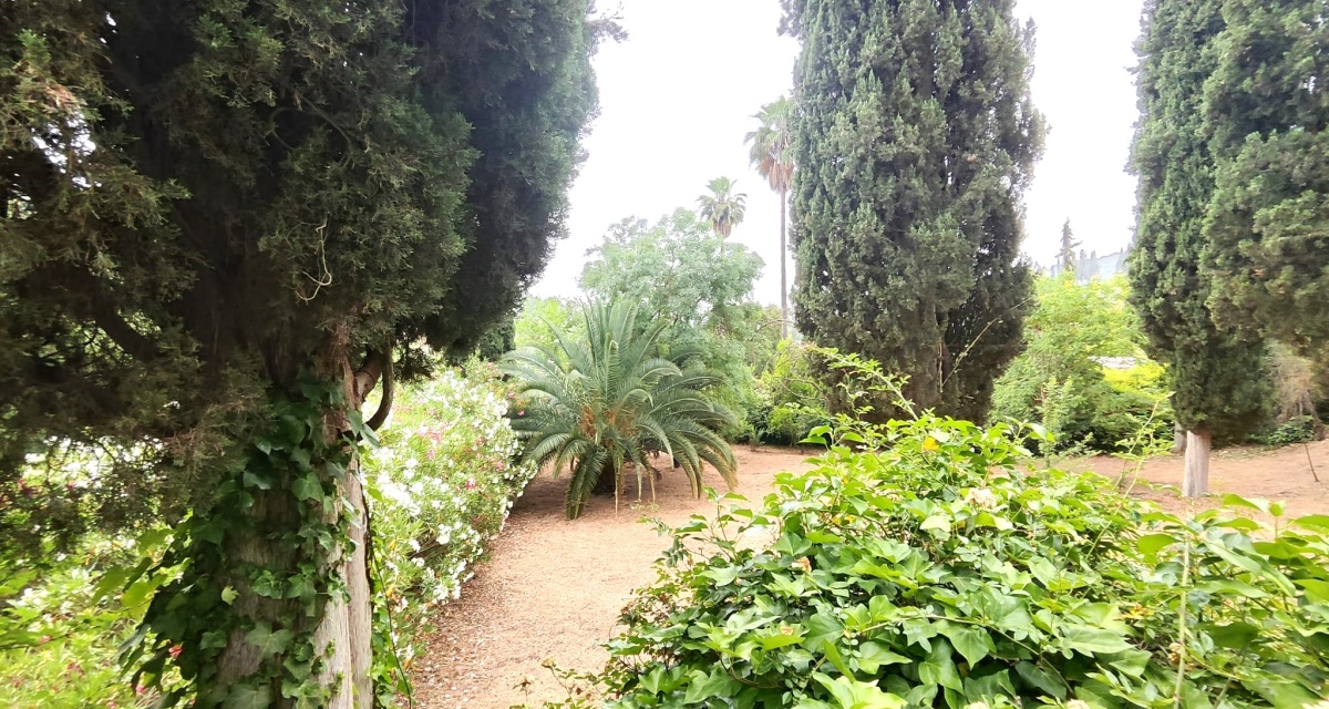 6 Bedrooms Bedrooms, 0 ,3 BathroomsBathrooms,Villa,For Sale,0,1120 6 Bedrooms Bedrooms, 0 ,3 BathroomsBathrooms,Villa,For Sale,0,1120