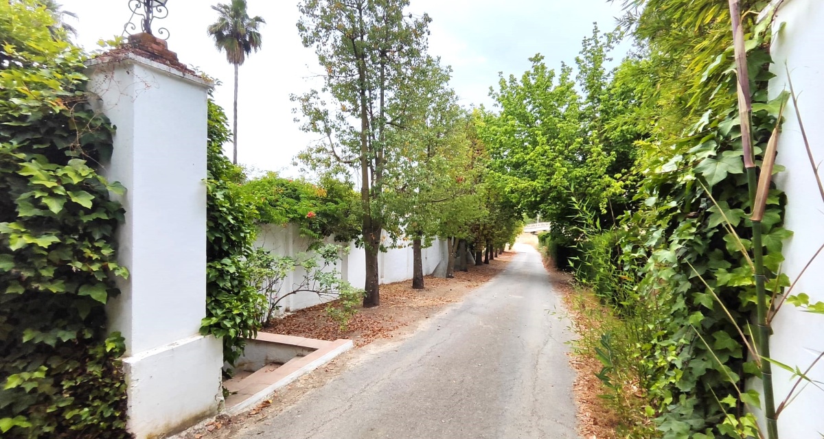 6 Bedrooms Bedrooms, 0 ,3 BathroomsBathrooms,Villa,For Sale,0,1120 6 Bedrooms Bedrooms, 0 ,3 BathroomsBathrooms,Villa,For Sale,0,1120