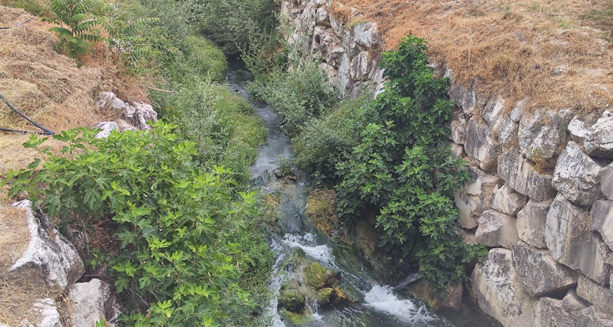 6 Bedrooms Bedrooms, 0 ,3 BathroomsBathrooms,Villa,For Sale,0,1120 6 Bedrooms Bedrooms, 0 ,3 BathroomsBathrooms,Villa,For Sale,0,1120