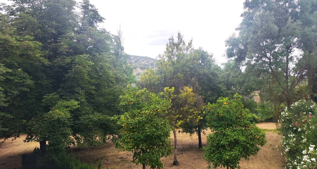 6 Bedrooms Bedrooms, 0 ,3 BathroomsBathrooms,Villa,For Sale,0,1120 6 Bedrooms Bedrooms, 0 ,3 BathroomsBathrooms,Villa,For Sale,0,1120