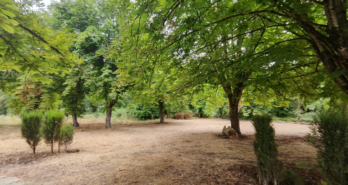 6 Bedrooms Bedrooms, 0 ,3 BathroomsBathrooms,Villa,For Sale,0,1120 6 Bedrooms Bedrooms, 0 ,3 BathroomsBathrooms,Villa,For Sale,0,1120