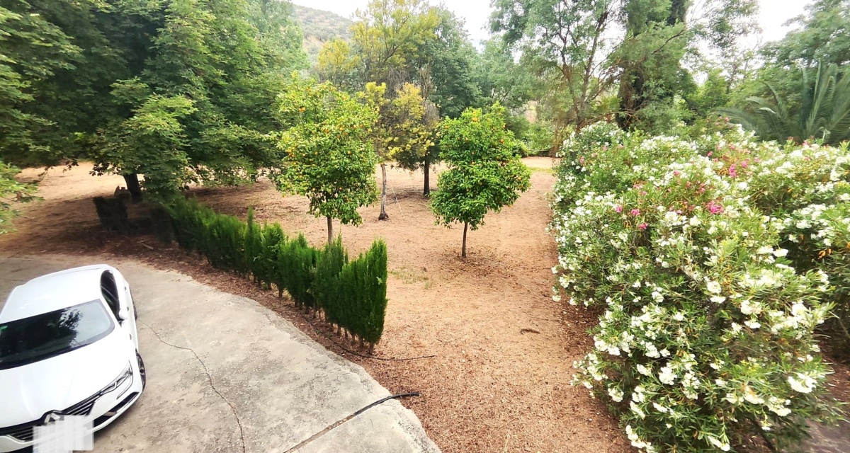 6 Bedrooms Bedrooms, 0 ,3 BathroomsBathrooms,Villa,For Sale,0,1120 6 Bedrooms Bedrooms, 0 ,3 BathroomsBathrooms,Villa,For Sale,0,1120