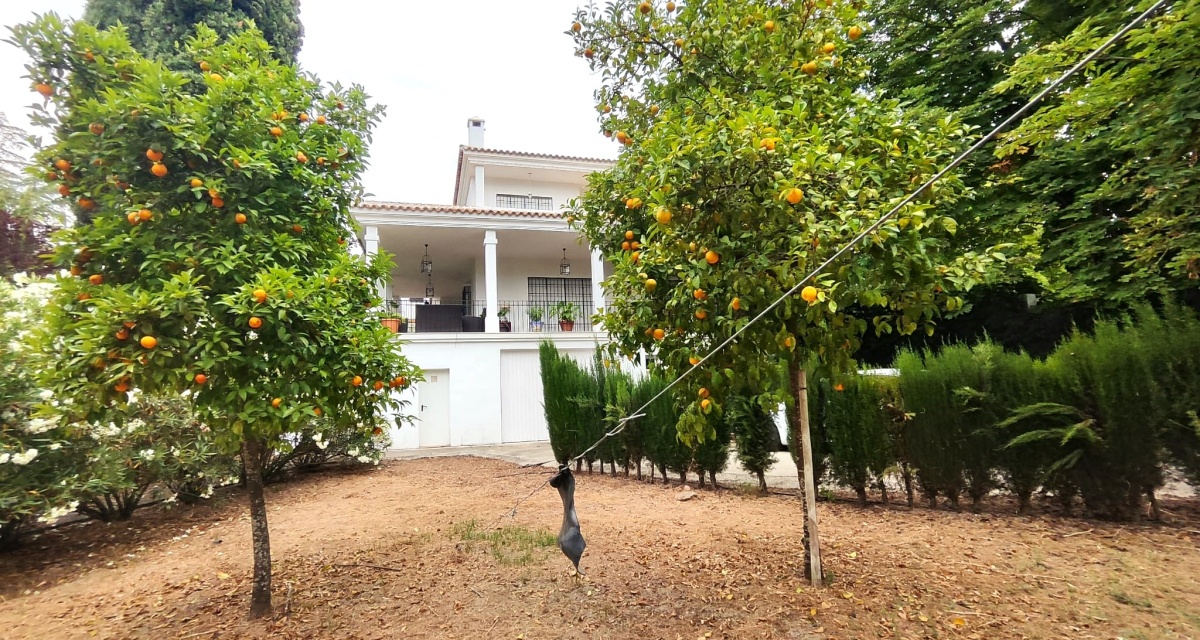 6 Bedrooms Bedrooms, 0 ,3 BathroomsBathrooms,Villa,For Sale,0,1120 6 Bedrooms Bedrooms, 0 ,3 BathroomsBathrooms,Villa,For Sale,0,1120