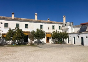 38 Bedrooms Bedrooms, 0 ,8 BathroomsBathrooms,Villa,For Sale,0,1066